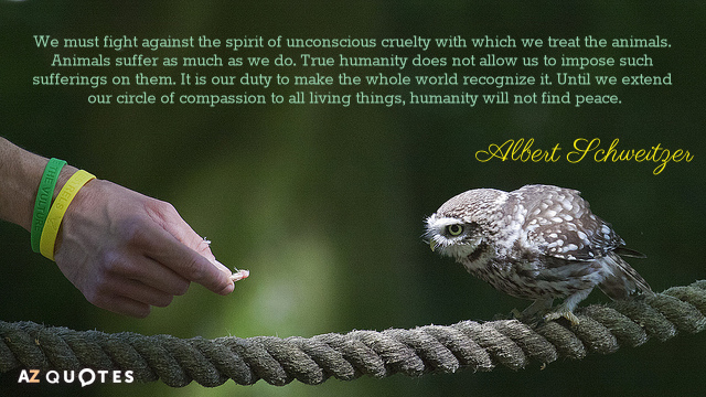 Albert Schweitzer cita: Debemos luchar contra el espíritu de crueldad inconsciente con el que tratamos...