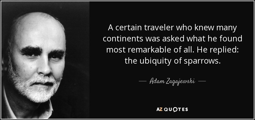 A certain traveler who knew many continents was asked what he found most remarkable of all. He replied: the ubiquity of sparrows. - Adam Zagajewski