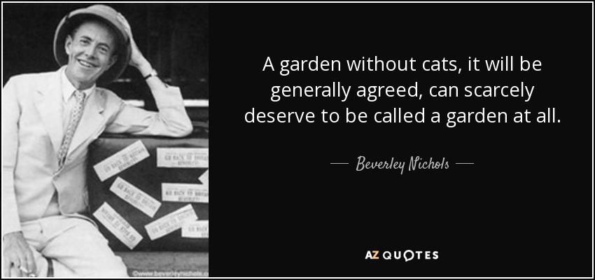 A garden without cats, it will be generally agreed, can scarcely deserve to be called a garden at all. - Beverley Nichols