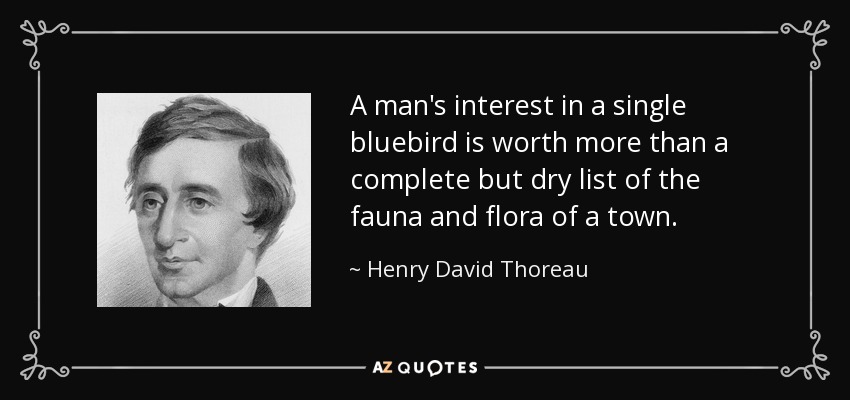 A man's interest in a single bluebird is worth more than a complete but dry list of the fauna and flora of a town. - Henry David Thoreau