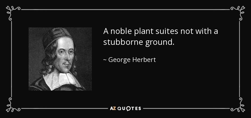 A noble plant suites not with a stubborne ground. - George Herbert