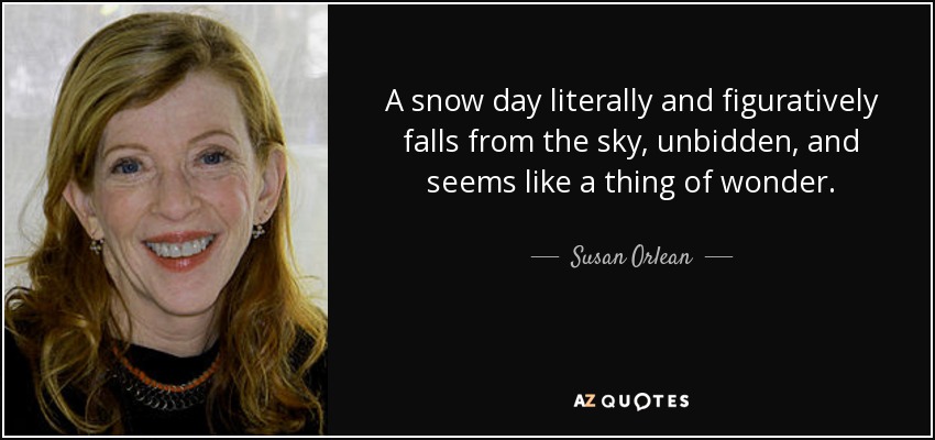 A snow day literally and figuratively falls from the sky, unbidden, and seems like a thing of wonder. - Susan Orlean