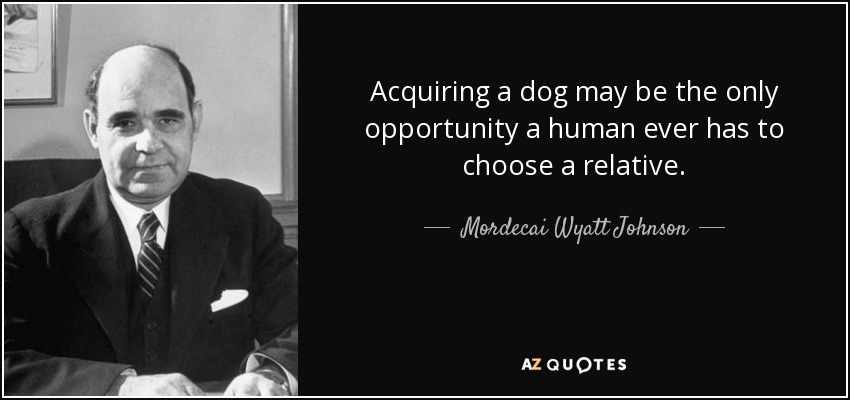 Acquiring a dog may be the only opportunity a human ever has to choose a relative. - Mordecai Wyatt Johnson