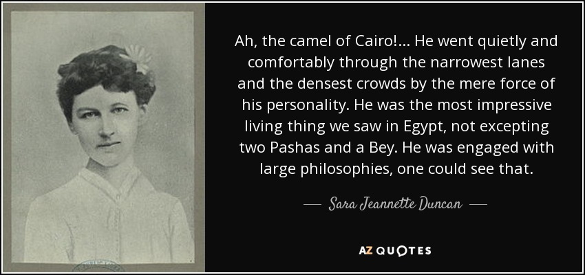 ¡Ah, el camello de El Cairo! ... Atravesaba tranquila y cómodamente las callejuelas más estrechas y las multitudes más densas por la mera fuerza de su personalidad. Era el ser vivo más impresionante que vimos en Egipto, sin exceptuar a dos Pashas y un Bey. Estaba comprometido con grandes filosofías, eso se notaba. - Sara Jeannette Duncan