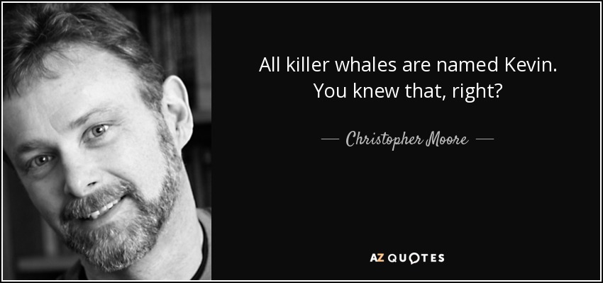 All killer whales are named Kevin. You knew that, right? - Christopher Moore