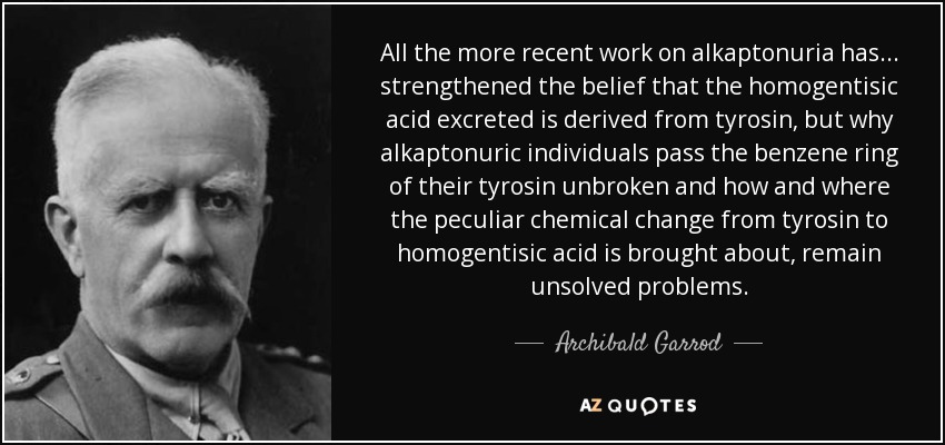 All the more recent work on alkaptonuria has... strengthened the belief that the homogentisic acid excreted is derived from tyrosin, but why alkaptonuric individuals pass the benzene ring of their tyrosin unbroken and how and where the peculiar chemical change from tyrosin to homogentisic acid is brought about, remain unsolved problems. - Archibald Garrod