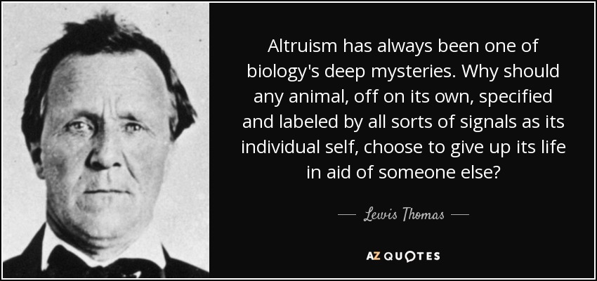 Altruism has always been one of biology's deep mysteries. Why should any animal, off on its own, specified and labeled by all sorts of signals as its individual self, choose to give up its life in aid of someone else? - Lewis Thomas