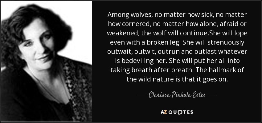 Among wolves, no matter how sick, no matter how cornered, no matter how alone, afraid or weakened, the wolf will continue.She will lope even with a broken leg. She will strenuously outwait, outwit, outrun and outlast whatever is bedeviling her. She will put her all into taking breath after breath. The hallmark of the wild nature is that it goes on. - Clarissa Pinkola Estes