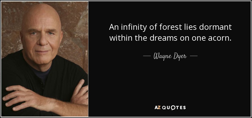 An infinity of forest lies dormant within the dreams on one acorn. - Wayne Dyer