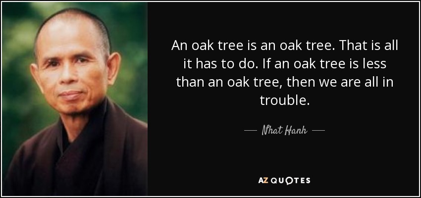 An oak tree is an oak tree. That is all it has to do. If an oak tree is less than an oak tree, then we are all in trouble. - Nhat Hanh