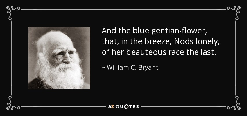 And the blue gentian-flower, that, in the breeze, Nods lonely, of her beauteous race the last. - William C. Bryant