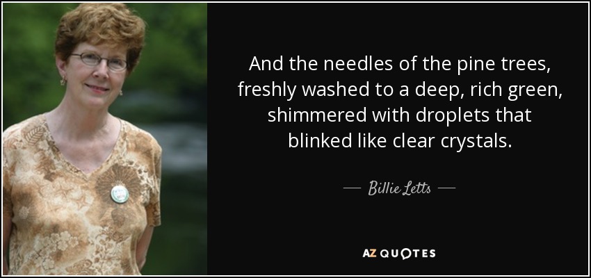 And the needles of the pine trees, freshly washed to a deep, rich green, shimmered with droplets that blinked like clear crystals. - Billie Letts