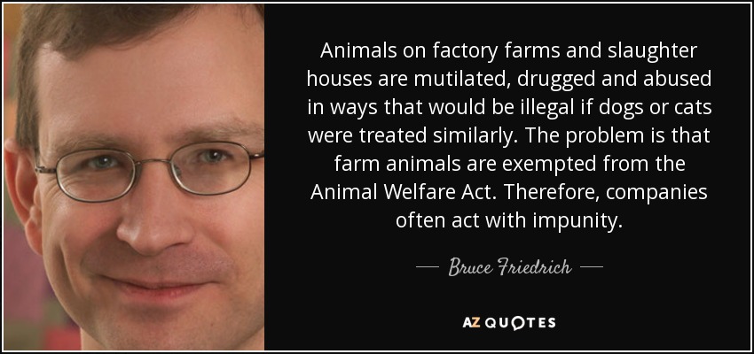 Animals on factory farms and slaughter houses are mutilated, drugged and abused in ways that would be illegal if dogs or cats were treated similarly. The problem is that farm animals are exempted from the Animal Welfare Act. Therefore, companies often act with impunity. - Bruce Friedrich