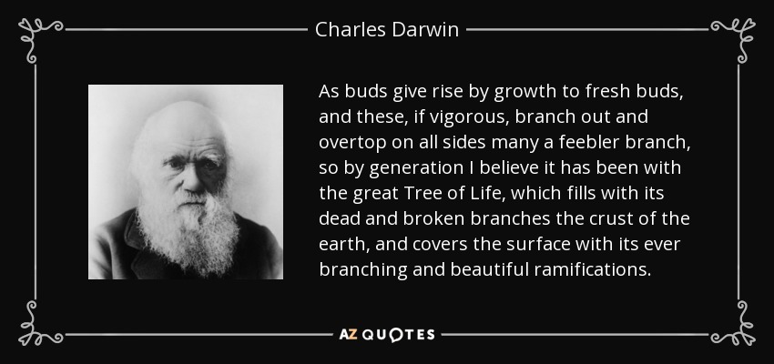 As buds give rise by growth to fresh buds, and these, if vigorous, branch out and overtop on all sides many a feebler branch, so by generation I believe it has been with the great Tree of Life, which fills with its dead and broken branches the crust of the earth, and covers the surface with its ever branching and beautiful ramifications. - Charles Darwin