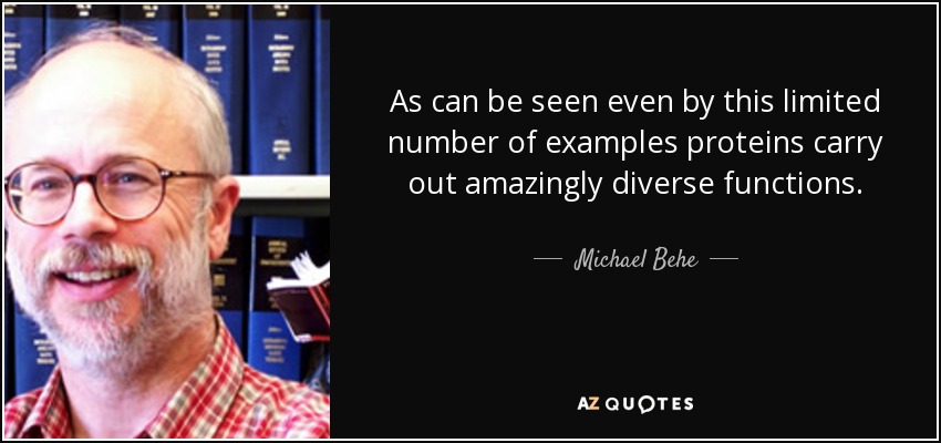 As can be seen even by this limited number of examples proteins carry out amazingly diverse functions. - Michael Behe