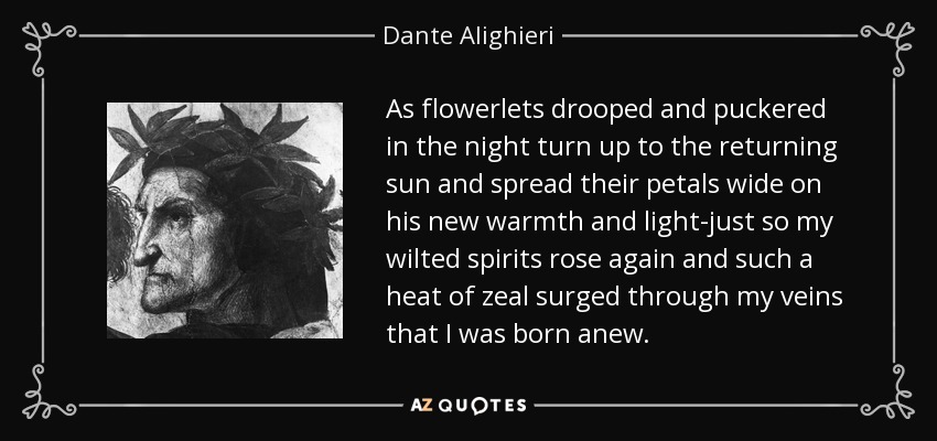 As flowerlets drooped and puckered in the night turn up to the returning sun and spread their petals wide on his new warmth and light-just so my wilted spirits rose again and such a heat of zeal surged through my veins that I was born anew. - Dante Alighieri