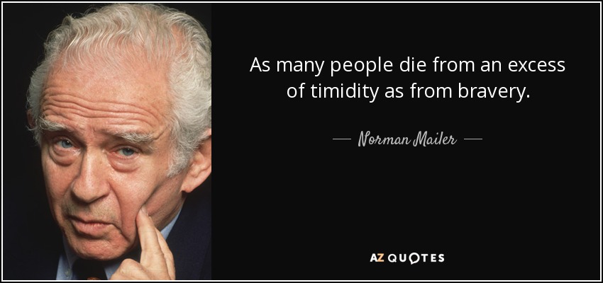 As many people die from an excess of timidity as from bravery. - Norman Mailer