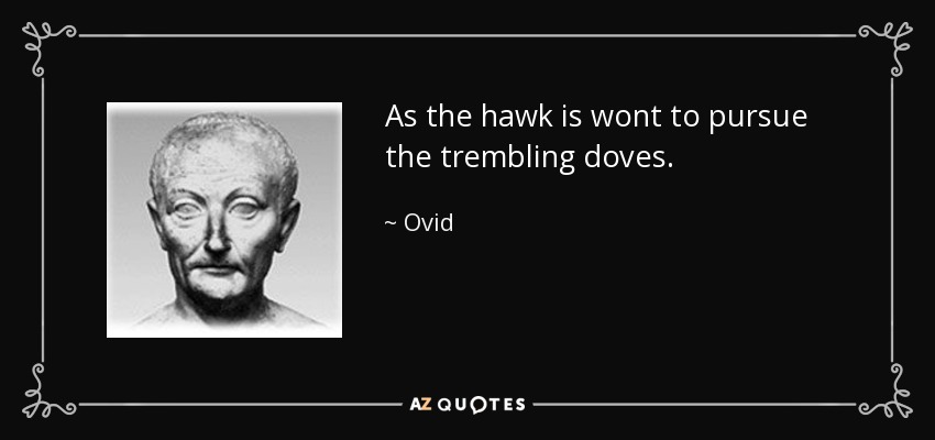 As the hawk is wont to pursue the trembling doves. - Ovid