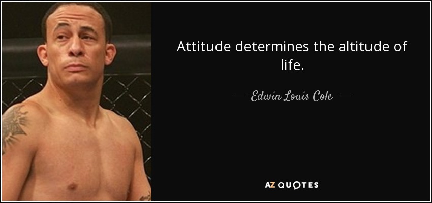 La actitud determina la altitud de la vida. - Edwin Louis Cole