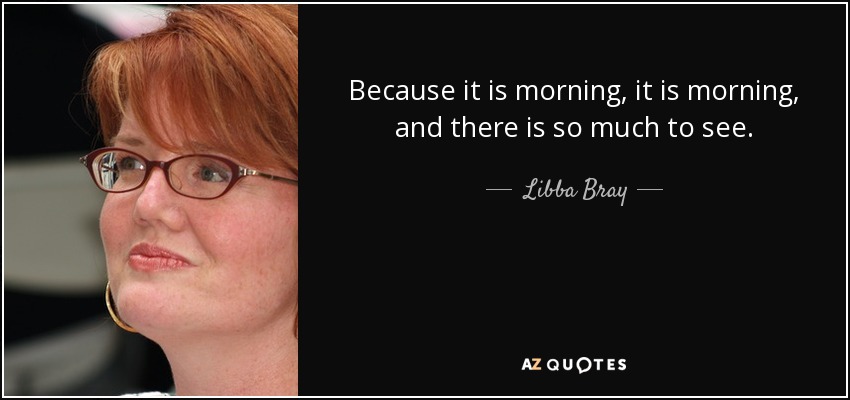 Because it is morning, it is morning, and there is so much to see. - Libba Bray