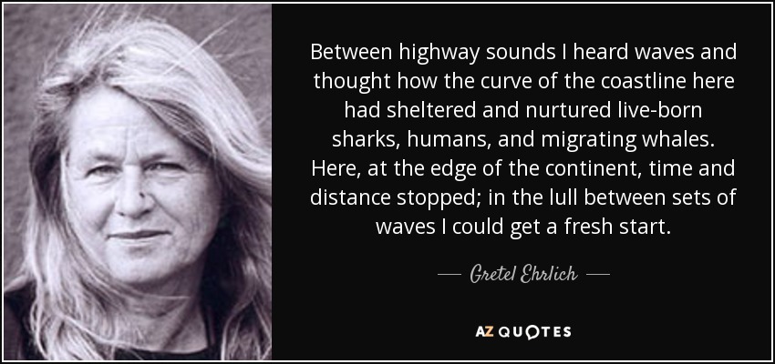 Between highway sounds I heard waves and thought how the curve of the coastline here had sheltered and nurtured live-born sharks, humans, and migrating whales. Here, at the edge of the continent, time and distance stopped; in the lull between sets of waves I could get a fresh start. - Gretel Ehrlich