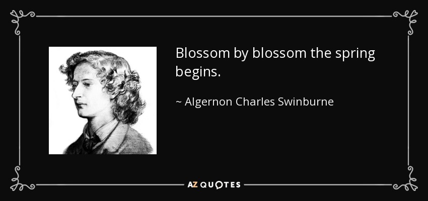 Blossom by blossom the spring begins. - Algernon Charles Swinburne