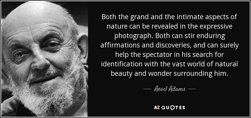Both the grand and the intimate aspects of nature can be revealed in the expressive photograph. Both can stir enduring affirmations and discoveries, and can surely help the spectator in his search for identification with the vast world of natural beauty and wonder surrounding him. - Ansel Adams