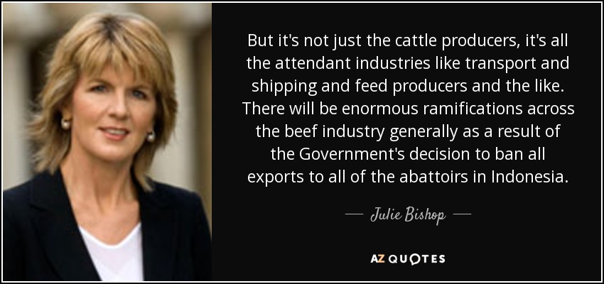 But it's not just the cattle producers, it's all the attendant industries like transport and shipping and feed producers and the like. There will be enormous ramifications across the beef industry generally as a result of the Government's decision to ban all exports to all of the abattoirs in Indonesia. - Julie Bishop