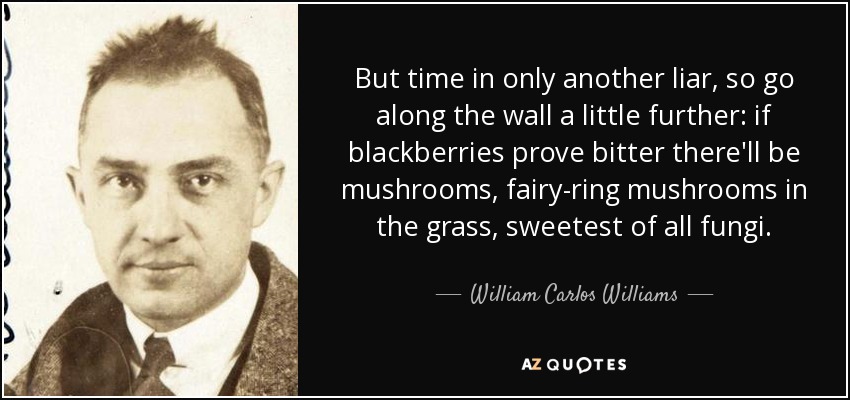 But time in only another liar, so go along the wall a little further: if blackberries prove bitter there'll be mushrooms, fairy-ring mushrooms in the grass, sweetest of all fungi. - William Carlos Williams