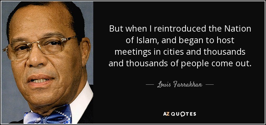 Pero cuando reintroduje la Nación del Islam, y empecé a organizar reuniones en ciudades y miles y miles de personas salieron. - Louis Farrakhan