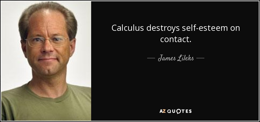 Calculus destroys self-esteem on contact. - James Lileks