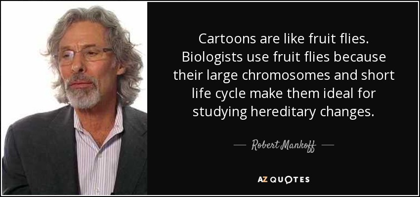 Cartoons are like fruit flies. Biologists use fruit flies because their large chromosomes and short life cycle make them ideal for studying hereditary changes. - Robert Mankoff