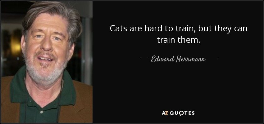 Cats are hard to train, but they can train them. - Edward Herrmann