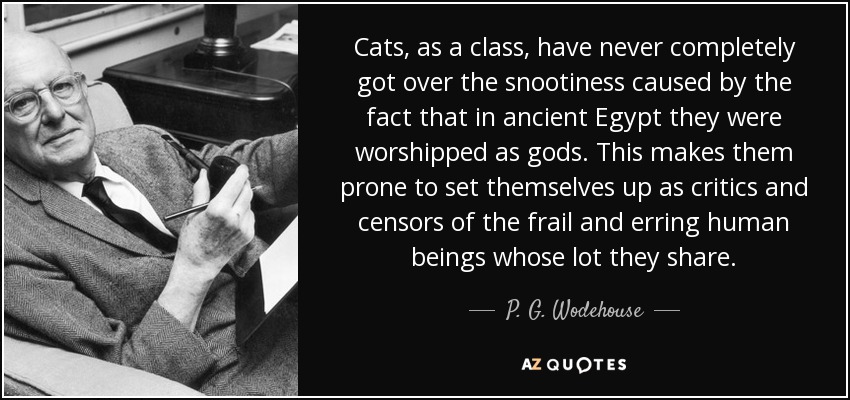 Los gatos, como clase, nunca han superado del todo el esnobismo causado por el hecho de que en el antiguo Egipto eran adorados como dioses. Esto les hace propensos a erigirse en críticos y censores de los frágiles y descarriados seres humanos cuya suerte comparten. - P. G. Wodehouse