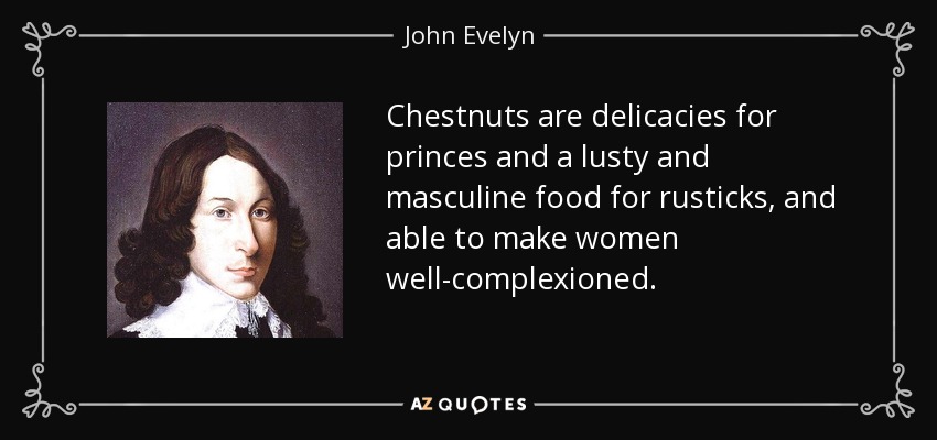 Chestnuts are delicacies for princes and a lusty and masculine food for rusticks, and able to make women well-complexioned. - John Evelyn