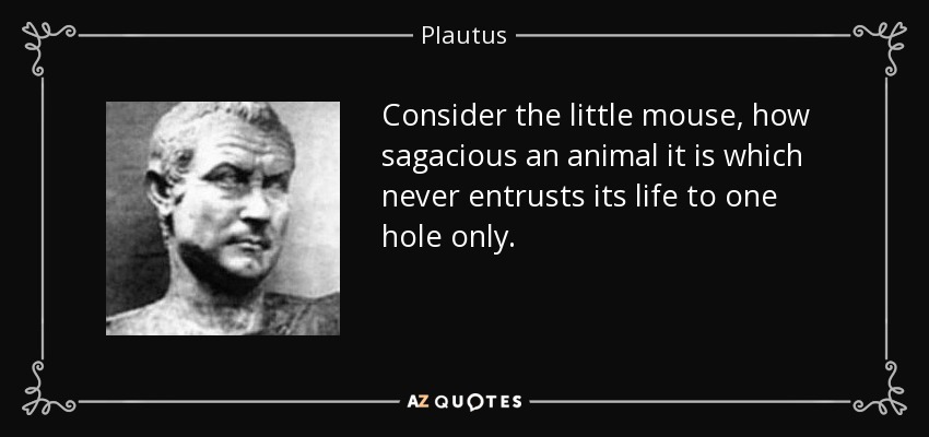 Considera al ratoncito, qué sagaz es un animal que nunca confía su vida a un solo agujero. - Plauto