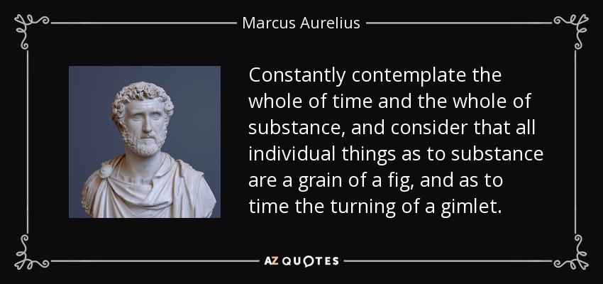 Contempla constantemente la totalidad del tiempo y la totalidad de la sustancia, y considera que todas las cosas individuales en cuanto a sustancia son un grano de higo, y en cuanto a tiempo el giro de un gimlet . - Marcus Aurelius