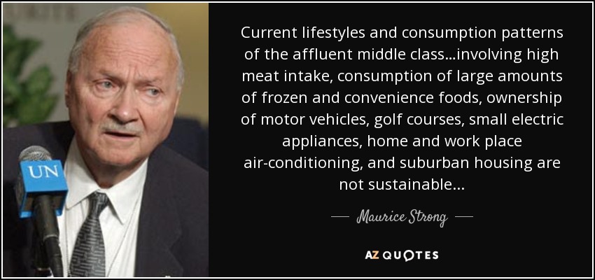 Current lifestyles and consumption patterns of the affluent middle class…involving high meat intake, consumption of large amounts of frozen and convenience foods, ownership of motor vehicles, golf courses, small electric appliances, home and work place air-conditioning, and suburban housing are not sustainable... - Maurice Strong