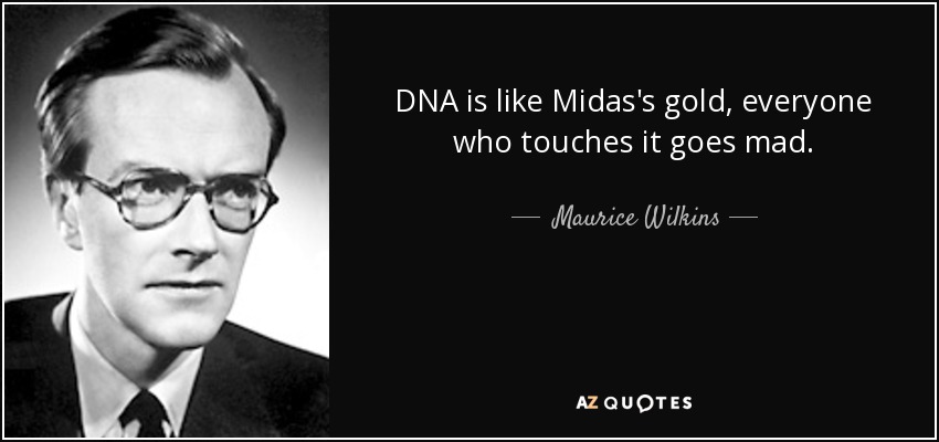 DNA is like Midas's gold, everyone who touches it goes mad. - Maurice Wilkins