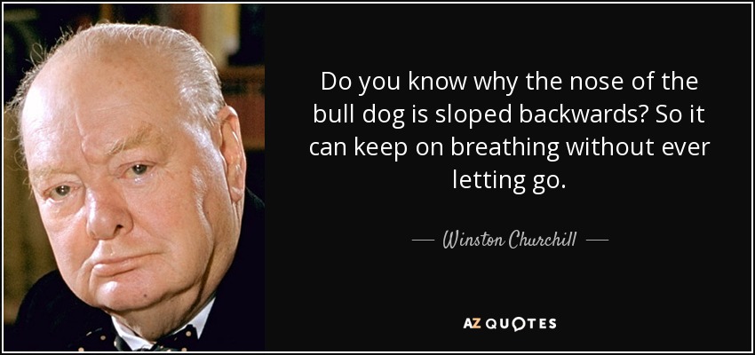 Do you know why the nose of the bull dog is sloped backwards? So it can keep on breathing without ever letting go. - Winston Churchill