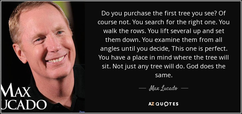 Do you purchase the first tree you see? Of course not. You search for the right one. You walk the rows. You lift several up and set them down. You examine them from all angles until you decide, This one is perfect. You have a place in mind where the tree will sit. Not just any tree will do. God does the same. - Max Lucado