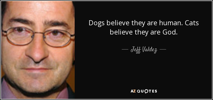 Dogs believe they are human. Cats believe they are God. - Jeff Valdez