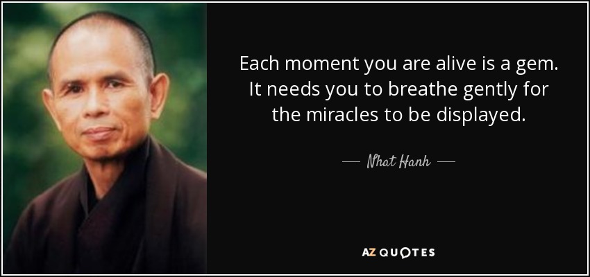 Each moment you are alive is a gem. It needs you to breathe gently for the miracles to be displayed. - Nhat Hanh
