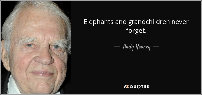 Los elefantes y los nietos nunca olvidan. - Andy Rooney