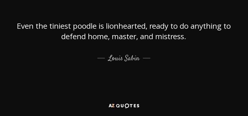 Hasta el caniche más pequeño tiene corazón de león y está dispuesto a todo para defender su hogar, a su amo y a su ama. - Louis Sabin