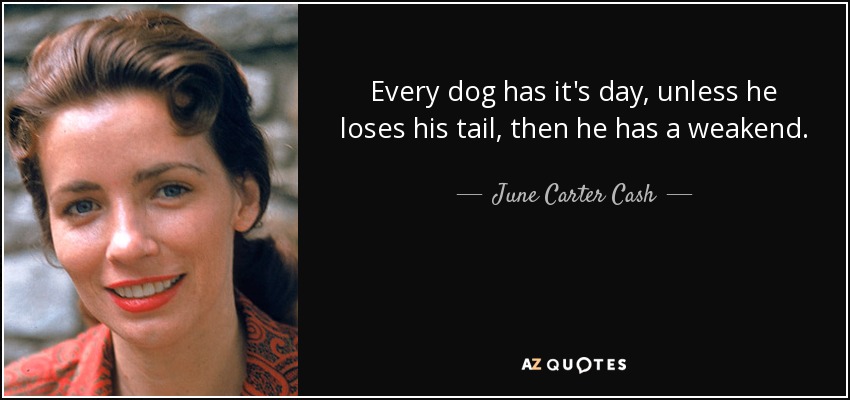 Cada perro tiene su día, a menos que pierda su cola, entonces tiene un punto débil. - June Carter Cash