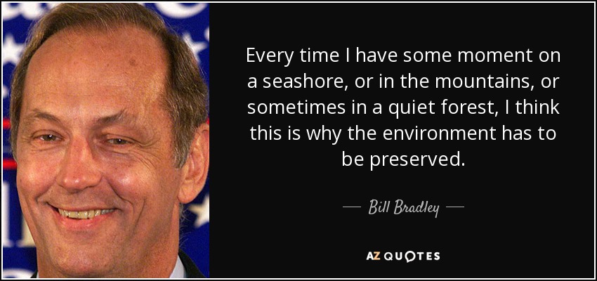 Every time I have some moment on a seashore, or in the mountains, or sometimes in a quiet forest, I think this is why the environment has to be preserved. - Bill Bradley