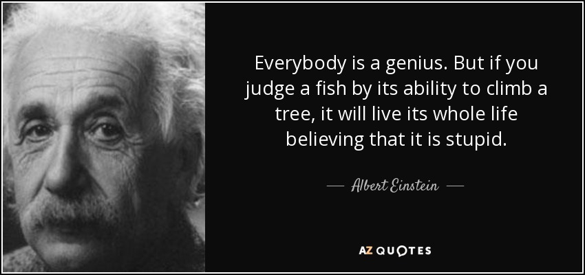 Everybody is a genius. But if you judge a fish by its ability to climb a tree, it will live its whole life believing that it is stupid. - Albert Einstein