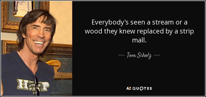 Everybody's seen a stream or a wood they knew replaced by a strip mall. - Tom Scholz