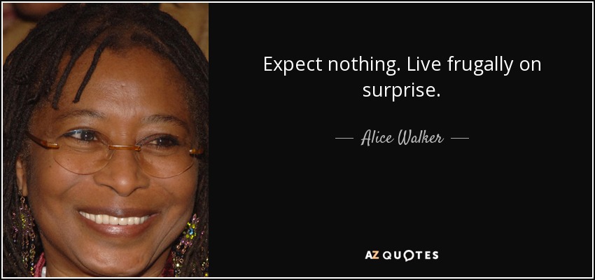 Expect nothing. Live frugally on surprise. - Alice Walker